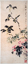 chu046