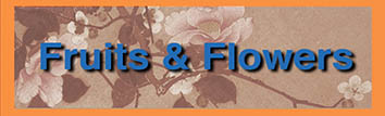Fruits and Flowers