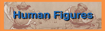 Human Figures