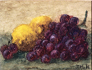 cc-2009-037