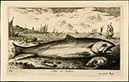 FW-0149
